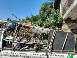Reliable Longmont, CO Junk Removal Services Solutions